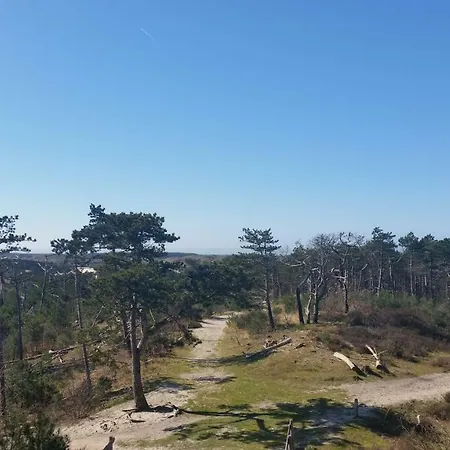 Vakantiehuis Duin Bos en Zee Schoorl Exterior foto