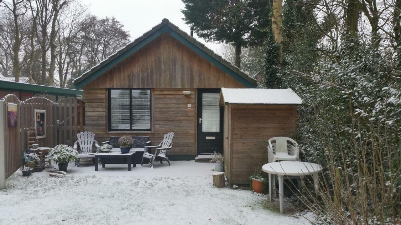 Duin Bos En Zee Holiday home Schoorl